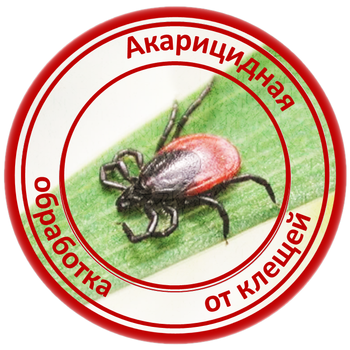 Акарицидная обработка территории от клещей