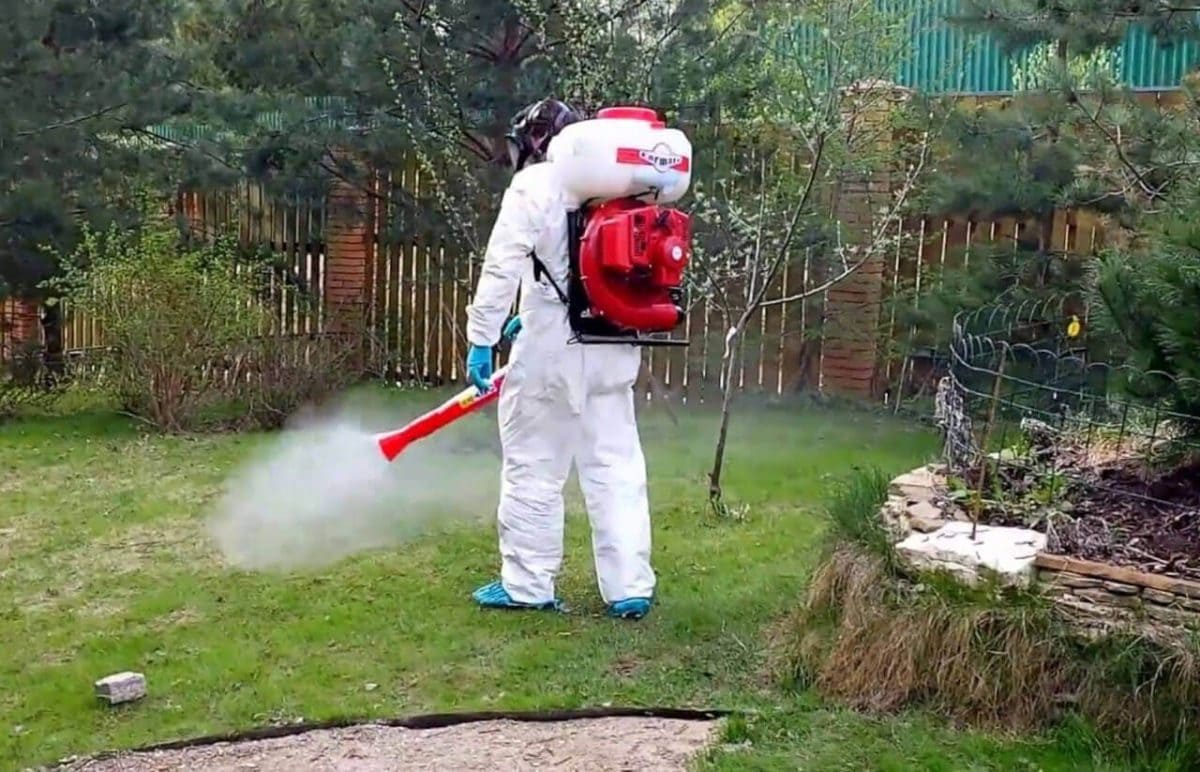 уничтожение клещей